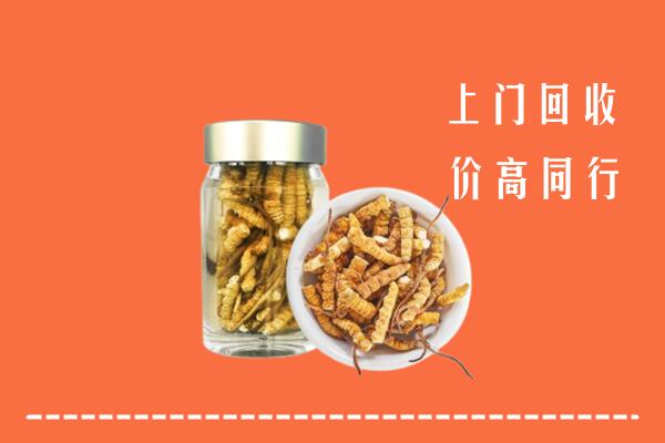 收购行情：荷泽回收冬虫夏草