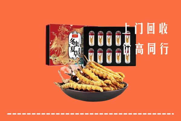 收购行情：荷泽回收虫草